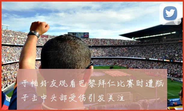 于帕好友观看巴黎拜仁比赛时遭瓶子击中头部受伤引发关注